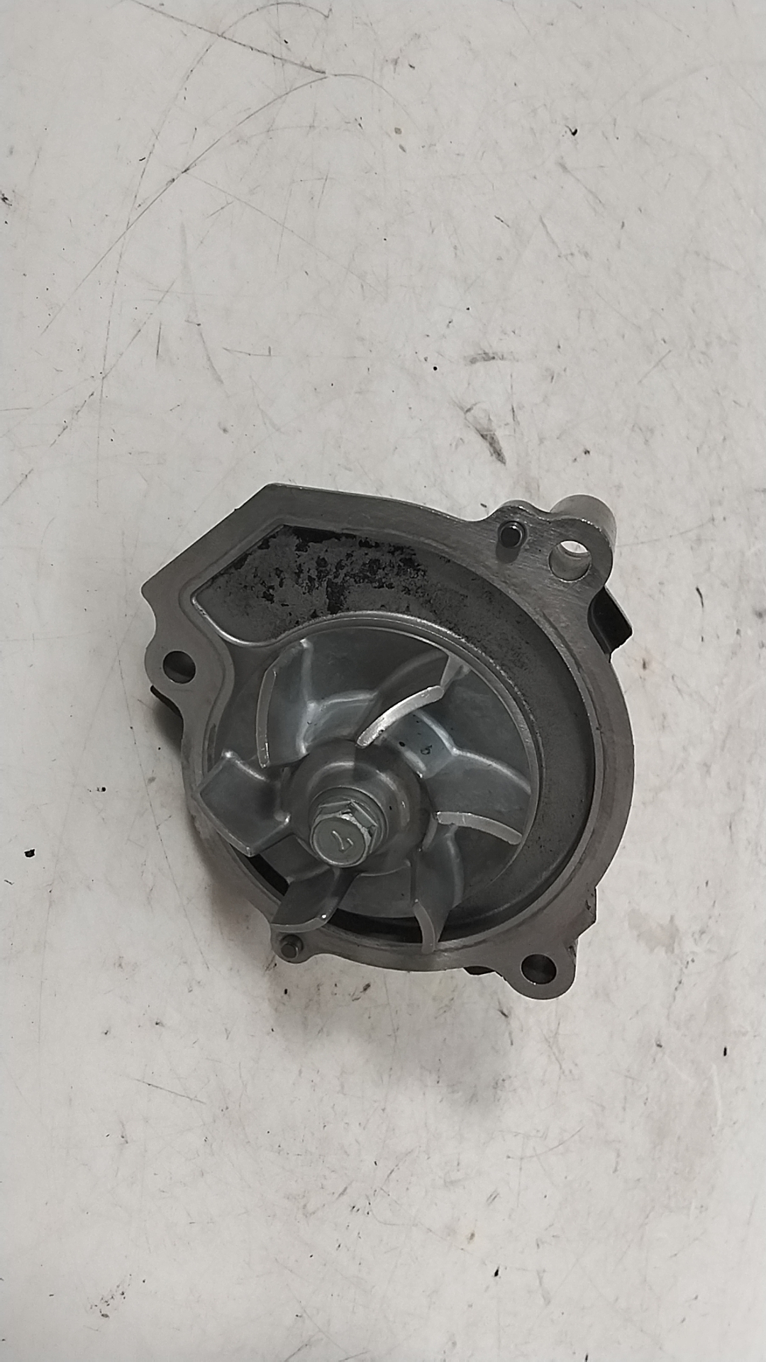 Kawasaki z 1000 07 09 pompa acqua e olio